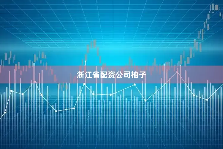 浙江省配资公司柚子
